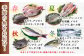 高級 鮮魚 セット 詰め合わせ 冷蔵 おまかせ お楽しみ 旬 刺身 九州 長崎