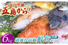 【五島列島・直送】朝獲れ！高級鮮魚セット6kg 五島市 / 鯛福丸水産 [PDP004] 魚 鮮魚 セット 海鮮 直送 さかな 詰合せ 冷蔵