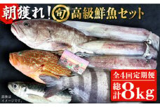 【全4回定期便】【五島列島・直送】朝獲れ！高級鮮魚セット2kg 五島市 / 鯛福丸水産 [PDP005] 魚 鮮魚 セット 海鮮 直送 さかな 詰合せ 冷蔵 定期