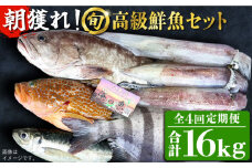 【全4回定期便】【五島列島・直送】朝獲れ！高級鮮魚セット4kg 五島市 / 鯛福丸水産 [PDP006] 魚 鮮魚 セット 海鮮 直送 さかな 詰合せ 冷蔵 定期