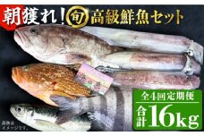 【全4回定期便】【五島列島・直送】朝獲れ！高級鮮魚セット4kg 五島市 / 鯛福丸水産 [PDP006] 魚 鮮魚 セット 海鮮 直送 さかな 詰合せ 冷蔵 定期