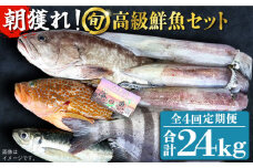 【全4回定期便】【五島列島・直送】朝獲れ！高級鮮魚セット6kg 五島市 / 鯛福丸水産 [PDP007] 魚 鮮魚 セット 海鮮 直送 さかな 詰合せ 冷蔵 定期