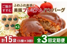 【全3回定期便】五島美豚 プレミアムハンバーグ 15個 (5個×3回)  五島市/長崎フードサービス [PEL040] ハンバーグ 手作り  肉 豚 豚肉 国産