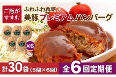 【全6回定期便】五島美豚 プレミアムハンバーグ 30個 (5個×6回)  五島市/長崎フードサービス [PEL041] ハンバーグ 手作り  肉 豚 豚肉 国産