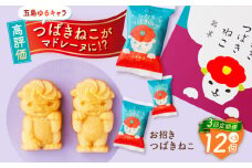 【全3回定期便】ご当地キャラつばきねこ型マドレーヌ お招きつばきねこ 12個 五島市/観光ビルはたなか [PAX046] 焼き菓子 洋菓子 スイーツ ギフト 贈答