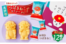 【全6回定期便】ご当地キャラつばきねこ型マドレーヌ お招きつばきねこ 12個 五島市/観光ビルはたなか [PAX047] 焼き菓子 洋菓子 スイーツ ギフト 贈答