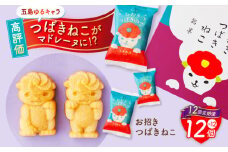 【全12回定期便】ご当地キャラつばきねこ型マドレーヌ お招きつばきねこ 12個 五島市/観光ビルはたなか [PAX048] 焼き菓子 洋菓子 スイーツ ギフト 贈答