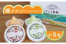 やしろ農園の椿メロンアイス2色入り8個セット 五島市/いきいきファーム [PCY002] メロン アイス アイスクリーム フルーツ 果物 くだもの 食べ比べ 数量限定 限定 五島 長崎 五島列島