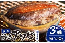 【到着日・受取時間指定必須】【配送エリア限定】【数量限定商品！】五島産養殖活きアワビ 1個あたり約100g前後 中サイズ3個 五島市/（有）都工業 [PEX001]あわび 鮑