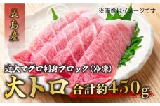 長崎県五島産 近大マグロ  （大トロ）刺身ブロック 五島市/五島ヤマフ [PAK017]
