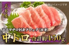 長崎県五島産 近大マグロ  （中トロ）刺身ブロック 五島市/五島ヤマフ [PAK018]