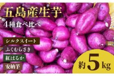 【2025年1月先行予約】五島産生芋5kg 安納芋 シルクスイート 紅はるか ふくむらさき 五島市/芋蔵林 [PDO007]