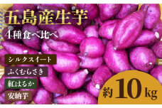 【2025年1月先行予約】五島産生芋10kg 安納芋 シルクスイート 紅はるか ふくむらさき いも 五島市/芋蔵林 [PDO008]