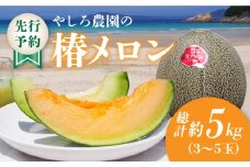 【先行予約】【2026年6月順次発送】やしろ農園の椿メロン 五島市 / いきいきファーム [PCY008]  赤肉 緑 メロン フルーツ 果物 くだもの 食べ比べ 数量限定 限定 五島 長崎 五島列島 