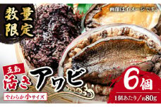 【日付指定必須】【エリア限定】【数量限定】五島産養殖活アワビ6個 小サイズ あわび 鮑 五島市/都工業 [PEX002]