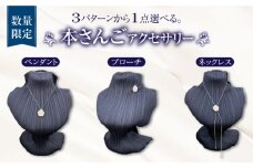【数量限定！世界にひとつ】椿モチーフ 本さんご 選べる 珊瑚 アクセサリー ペンダント  ネックレス ブローチ 五島市/山弘さんご真珠 [PDX005]