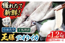 【イカの王様】アオリイカ 300g前後×4杯 五島市/金沢鮮魚 [PEP005] イカ 水いか 肉厚 いか 小分け 下処理済 冷凍 刺身 真空パック