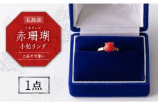 【上品でかわいい赤珊瑚リング】五島産 赤珊瑚 小粒リング  限定 アクセサリー 指輪 五島市/出口さんご [PBK025]