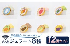 ジェラート 12個セット 8種 お取り寄せ スイーツ アイスクリーム 食べ比べ 五島市/PRIGELA [PFV002]
