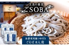 【島の風土が凝縮！五島の蕎麦】ごSOBA ごそば 8人前 魚醤使用の麺つゆ付き ざるそば 冷凍 五島市/株式会社Factory [PFN007]