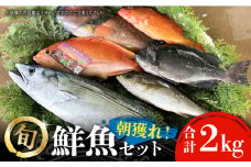 【五島列島・直送】朝獲れ！鮮魚セット2kg 鯛福丸水産/五島市 [PDP008] 鮮魚 セット 冷蔵 魚 海鮮 直送 さかな 詰合せ