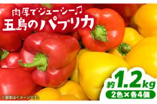 【肉厚＆ジューシー】五島のパプリカ 計8個 五島市/HPIファーム [PCP007] 野菜 やさい 国産 新鮮 緑黄色野菜 産地直送 とれたて