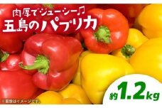 【肉厚ジューシー】五島のパプリカ 約1.2kg 五島市/HPIファーム  [PCP007] 野菜 やさい 国産 新鮮 緑黄色野菜 産地直送 とれたて