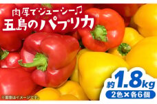 【肉厚＆ジューシー】五島のパプリカ 計12個 五島市/HPIファーム [PCP008] 野菜 やさい 国産 新鮮 緑黄色野菜 産地直送 とれたて