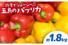 【肉厚ジューシー】五島のパプリカ 約1,8kg 五島市/HPIファーム [PCP008] 野菜 やさい 国産 新鮮 緑黄色野菜 産地直送 とれたて
