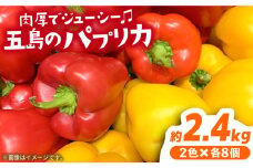 【肉厚＆ジューシー】五島のパプリカ 計16個 五島市/HPIファーム [PCP009] 野菜 やさい 国産 新鮮 緑黄色野菜 産地直送 とれたて