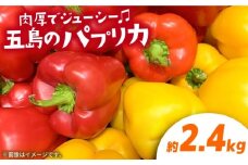 【肉厚ジューシー】五島のパプリカ 約2.4kg 五島市/HPIファーム  [PCP009] 野菜 やさい 国産 新鮮 緑黄色野菜 産地直送 とれたて