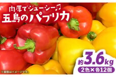 【肉厚＆ジューシー】五島のパプリカ 計24個 五島市/HPIファーム [PCP010] 野菜 やさい 国産 新鮮 緑黄色野菜 産地直送 とれたて