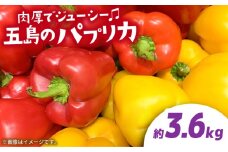【肉厚ジューシー】五島のパプリカ 約3.6kg 五島市/HPIファーム  [PCP010] 野菜 やさい 国産 新鮮 緑黄色野菜 産地直送 とれたて