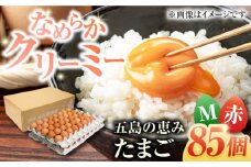 【箱入り】五島の恵みたまご Mサイズ 85個入 / 卵 赤玉子 五島市 / 五島列島大石養鶏場 [PFQ004] 玉子 タマゴ 鶏卵 希少 五島列島