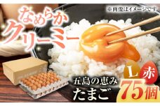 【箱入り】五島の恵みたまご Lサイズ 75個入 / 卵 赤玉子五島市 / 五島列島大石養鶏場 [PFQ005] 玉子 タマゴ 鶏卵 希少 五島列島