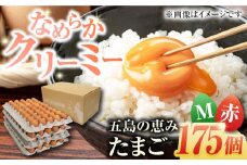 【箱入り】五島の恵みたまご Mサイズ 175個入 / 卵 赤玉子 五島市 / 五島列島大石養鶏場 [PFQ006] 玉子 タマゴ 鶏卵 希少 五島列島