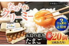 【全3回定期便】【ギフトBOX】五島の恵みたまご M～Lサイズ 20個入 / 卵 赤玉子 五島市 / 五島列島大石養鶏場 [PFQ011] 玉子 タマゴ 鶏卵 希少 五島列島