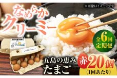【全6回定期便】【ギフトBOX】五島の恵みたまご M～Lサイズ 20個入 / 卵 赤玉子 五島市 / 五島列島大石養鶏場 [PFQ012] 玉子 タマゴ 鶏卵 希少 五島列島