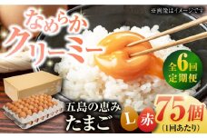 【全6回定期便】【箱入り】五島の恵みたまご Lサイズ 75個入 / 卵 赤玉子五島市 / 五島列島大石養鶏場 [PFQ018] 玉子 タマゴ 鶏卵 希少 五島列島