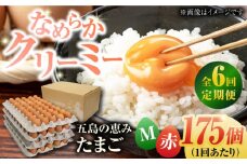 【全6回定期便】【箱入り】五島の恵みたまご Mサイズ 175個入 / 卵 赤玉子 五島市 / 五島列島大石養鶏場 [PFQ021] 玉子 タマゴ 鶏卵 希少 五島列島