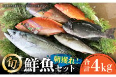 五島列島直送！朝獲れ鮮魚セット4kg　鯛福丸水産/五島市 [PDP011]  魚 鮮魚 セット 海鮮 直送 さかな 詰合せ 冷蔵