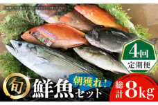 【全4回定期便】五島列島直送！朝獲れ鮮魚セット2kg 鯛福丸水産/五島市 [PDP013]  魚 鮮魚 セット 海鮮 直送 さかな 詰合せ 冷蔵