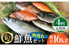【全4回定期便】五島列島直送！朝獲れ鮮魚セット4kg 鯛福丸水産/五島市 [PDP014]  魚 鮮魚 セット 海鮮 直送 さかな 詰合せ 冷蔵