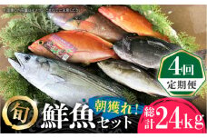 【全4回定期便】五島列島直送！朝獲れ鮮魚セット6kg 鯛福丸水産/五島市 [PDP015]  魚 鮮魚 セット 海鮮 直送 さかな 詰合せ 冷蔵 定期