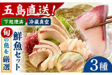 金澤仕立て 鮮魚ボックス 旬の魚3種  五島市/金沢鮮魚 [PEP007] 鮮魚 冷蔵 真空パック 新鮮 下処理済み 海鮮 刺身 お刺し身 お刺身 おさしみ セット 魚 魚介 魚介類 