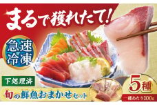 【五島の旬】下処理済み 超速冷凍 鮮魚 5種  五島市 / 金沢鮮魚 [PEP018] 柵 冷蔵 真空パック 新鮮 下処理済み 海鮮 刺身 セット さしみ お刺身 おさしみ お刺し身 鮮魚 魚