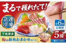 【全６回定期便】【五島の旬】下処理済み 超速冷凍 鮮魚 5種 柵 冷蔵 真空パック 新鮮 下処理済み 海鮮 刺身 セット 五島市 / 金沢鮮魚 [PEP020]