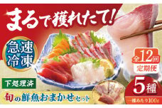 【全12回定期便】【五島の旬】下処理済み 超速冷凍 鮮魚 5種 柵 冷蔵 真空パック 新鮮 下処理済み 海鮮 刺身 セット 定期便 五島市 / 金沢鮮魚 [PEP021]
