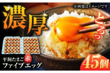 【箱入り】平飼たまご ファイブエッグ M～Lサイズ 45個 / 5EGG 卵 赤玉子 五島市 / 五島列島大石養鶏場 [PFQ036] 玉子 タマゴ 鶏卵 希少 五島列島