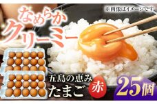 【箱入り】五島の恵みたまご M〜Lサイズ 25個入 / 卵 赤玉子 五島市 / 五島列島大石養鶏場 [PFQ037] 玉子 タマゴ 鶏卵 希少 五島列島